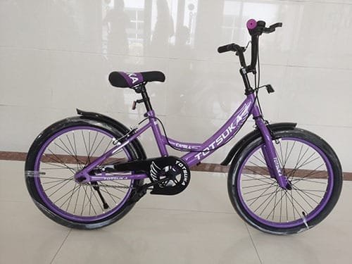 ALU.9183-1.jpeg BICICLETA 16 CAMILA MORADO TOTSUKA